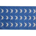 3x5 Handwoven Traditional Rug - Light Blue And White Star Area Eco Friendly Rug For Home Decor